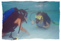 Laura und Francesca testen Minib im Pool